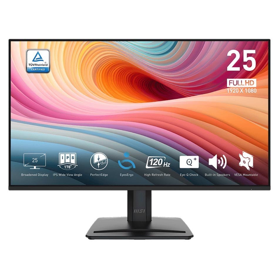 MSI PRO MP251 E2 24.5